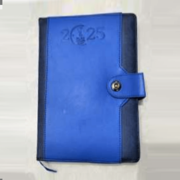 Diary 2025 (Blue)