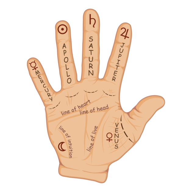 Palmistry