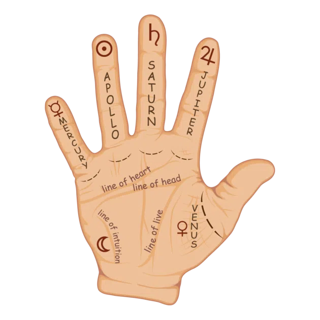Palmistry