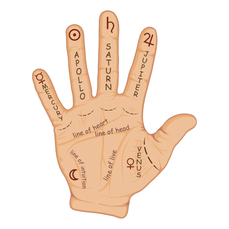 Palmistry