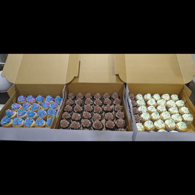 Chocolate and Vanilla Cupcakes